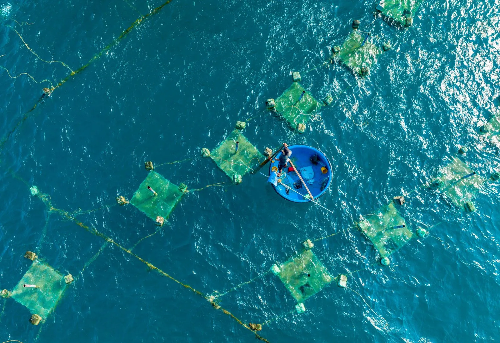 Aerial shot of a fisherman tending fish farms in the open sea, showcasing aquaculture.
